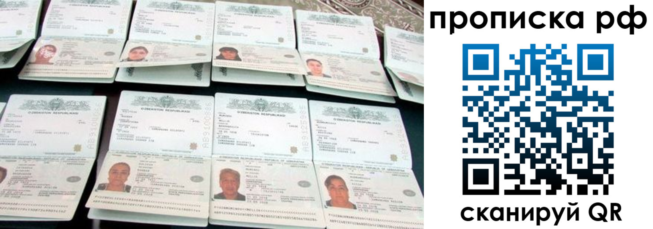 регистрация для школы в Мурманской области